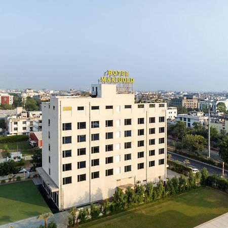 Hotel Marigold Jaipur Dış mekan fotoğraf